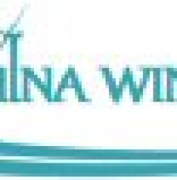China Wind Power Reports Third Quarter Results