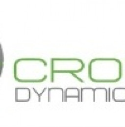 Crown Dynamics Corp Announces New Chief Financial Officer