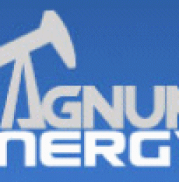 Magnum Energy Inc. Provides Operations Update