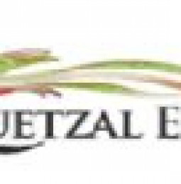 Quetzal Energy Ltd. Elects to Not Proceed With Spin Out of Guatemalan Assets and Provides Operational Update