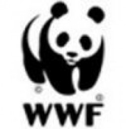 WWF Names Top Five Environmental Game Changers of the Past Five Years