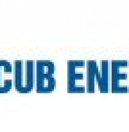 Cub Energy Inc.: Makeevskoye-20 Well Cased to Total Depth