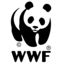 WWF Is Proud to Partner With Mosaicultures Internationales de Montreal