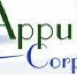 Appulse Corporation: Reporting Results for the Nine Months Ended September 30, 2014